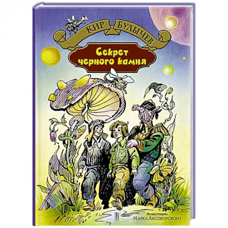 Книги, книга Секрет чёрного камня