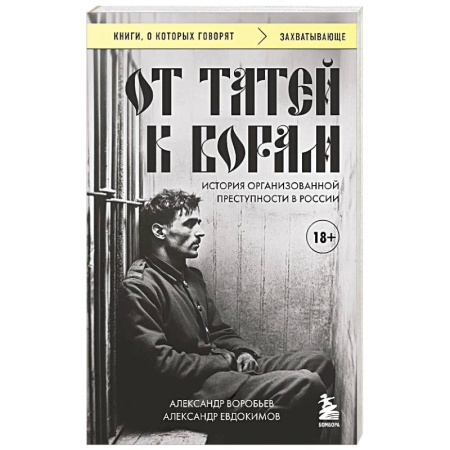Публицистика, книга От татей к ворам: история организованной преступности в России.