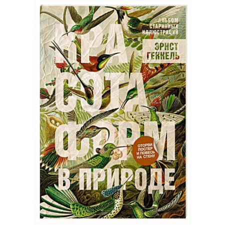 книга Красота форм в природе. Альбом старинных иллюстраций с доставкой по Франции Культура, искусство, книга Красота форм в природе. Альбом старинных иллюстраций