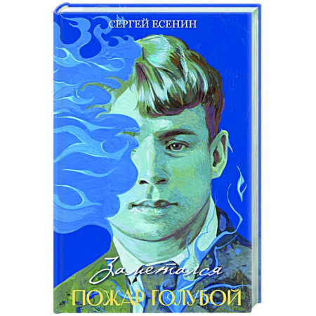 Классика, современная литература, книга Заметался пожар голубой