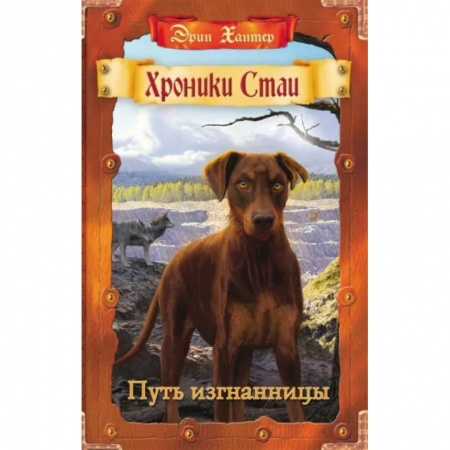 Проза для детей, книга Путь изгнанницы