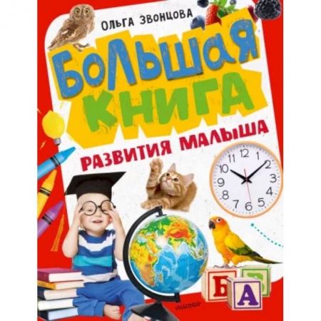 Познавательная литература, книга Большая книга развития малыша