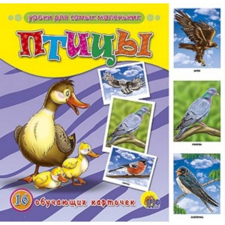 Книги, книга Обучающие карточки. Птицы