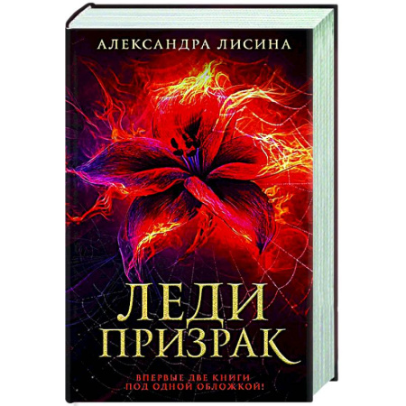 Фантастика, фэнтези, книга Леди-призрак: Вакансия для призрака, Призрак на задании