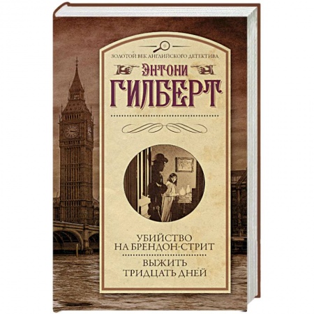 Детективы, триллеры, книга Убийство на Брендон-стрит. Выжить тридцать дней