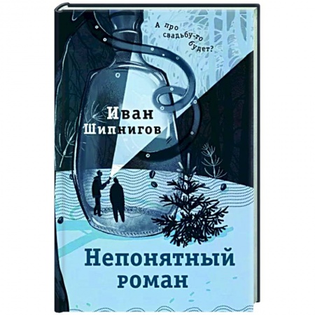Классика, современная литература, книга Непонятный роман