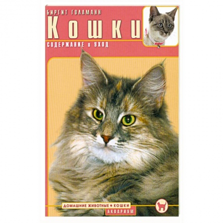 Книги, книга Кошки. Содержание и уход