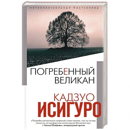 Книги, книга Погребенный великан
