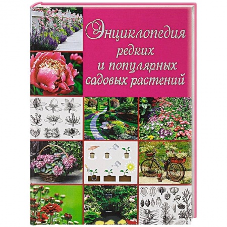 Книги, книга Энциклопедия редких и популярных садовых растений