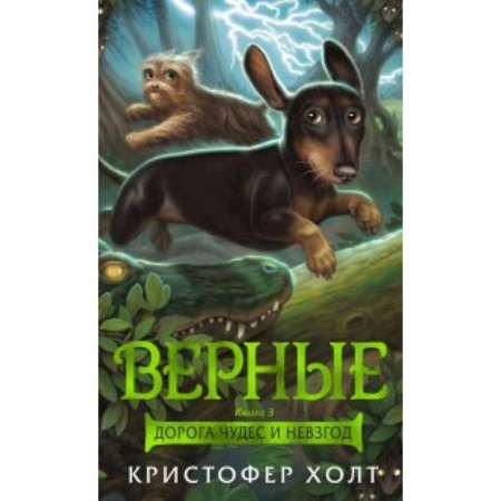 Сказки, книга Верные. Книга 3. Дорога чудес и невзгод