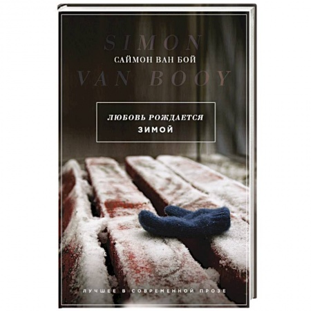 Любовный роман, книга Любовь рождается зимой