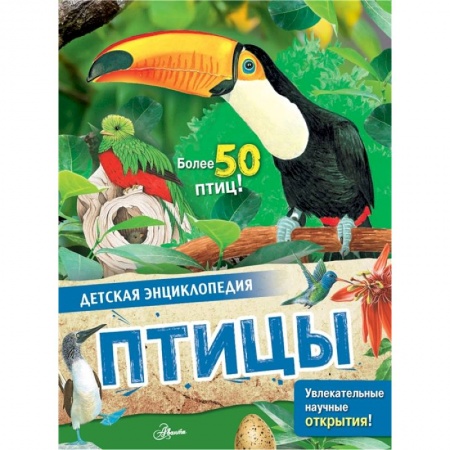 Книги, книга Птицы