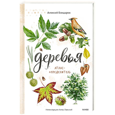 Познавательная литература, книга Деревья. Атлас-определитель