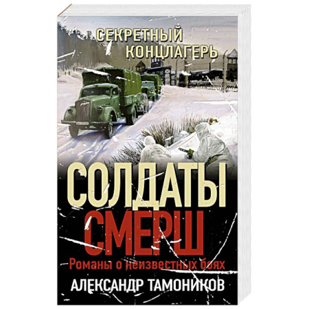 Детективы, триллеры, книга Секретный концлагерь