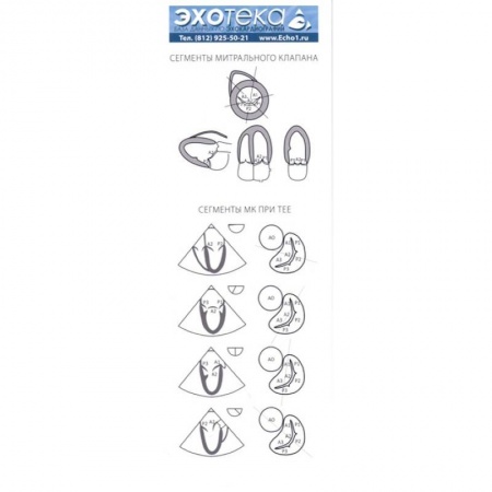 книга Пособие по эхокардиографии (Буклет Эхотека) с доставкой по Франции Специальная медицина, книга Пособие по эхокардиографии (Буклет Эхотека)