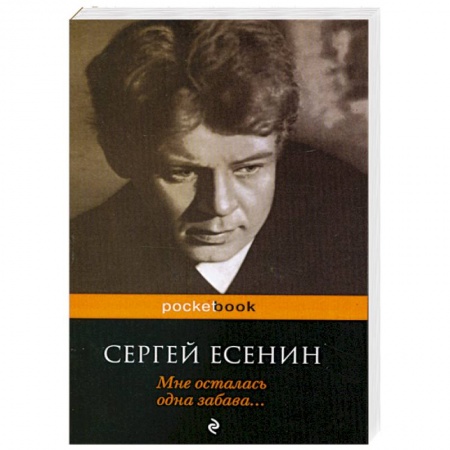 Книги, книга Мне осталась одна забава...