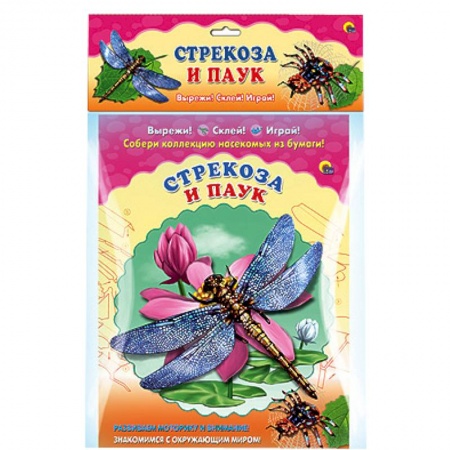 Книги, книга Стрекоза и паук. Собери коллекцию насекомых