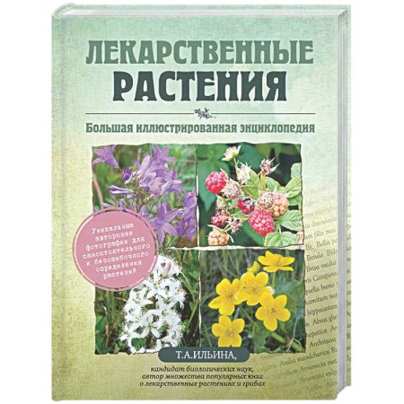 Популярная и нетрадиционная медицина, книга Лекарственные растения. Большая иллюстрированная энциклопедия