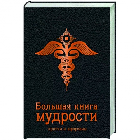 Развлечения. Праздники. Юмор, книга Большая книга мудрости
