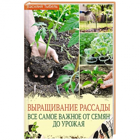 Сад, огород, цветы, дизайн участка, книга Выращивание рассады. Все самое важное от семян до урожая