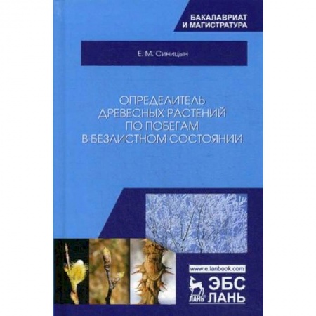 Студентам и аспирантам, книга Определитель древесных растений по побегам в безлистном состоянии. Учебное пособие