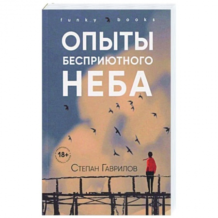 Классика, современная литература, книга Опыты бесприютного неба