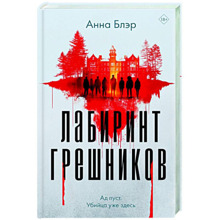 Детективы, триллеры, книга Лабиринт грешников