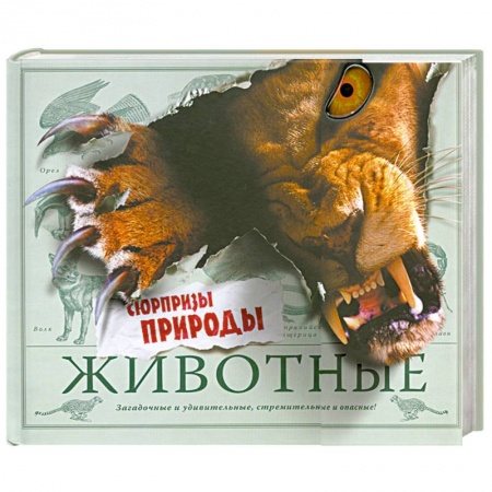 Книги, книга Животные. Сюрпризы природы