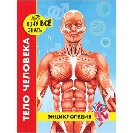 Познавательная литература, книга Хочу все знать. Тело человека