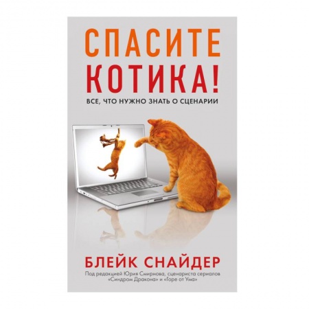 Общественные и гуманитарные науки, книга Спасите котика! Все, что нужно знать о сценарии