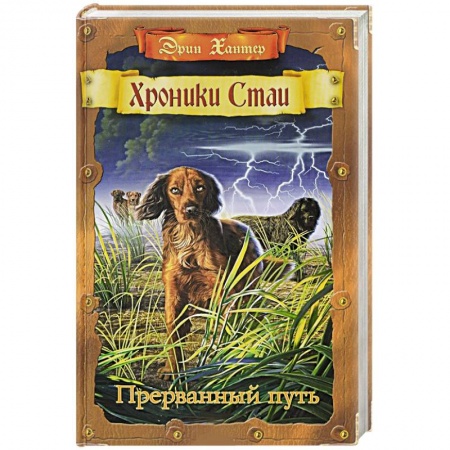 Фантастика, фэнтези, книга Прерванный путь