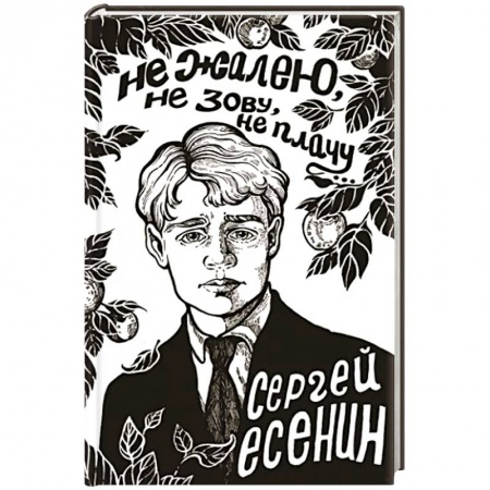 Классика, современная литература, книга Не жалею, не зову, не плачу...