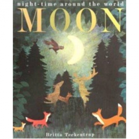 Изучение языков, книга Patricia Hegarty: Moon