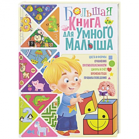 Дошкольникам, книга Большая книга для умного малыша