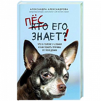 Пес его знает! Что в голове у собаки, и как понять причины ее поведения