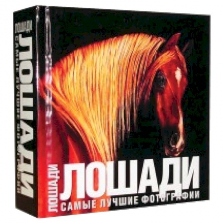 Книги, книга Лошади. Самые лучшие фотографии