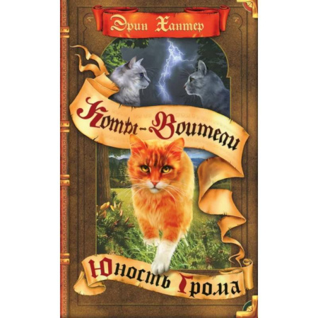 Проза для детей, книга Коты-воители. Юность Грома