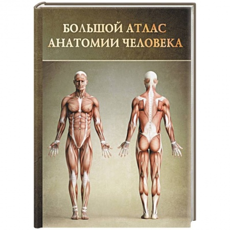 Книги, книга Большой атлас анатомии человека