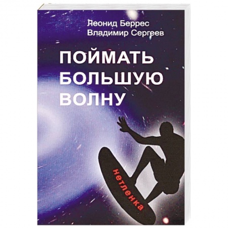 Классика, современная литература, книга Поймать большую волну