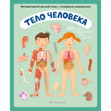 Познавательная литература, книга Тело человека. Интерактивный детский атлас с откидными разворотами