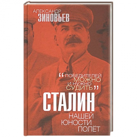 Мемуары, биографии, книга Сталин. Нашей юности полёт