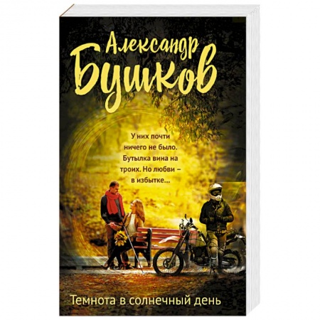Книги, книга Темнота в солнечный день