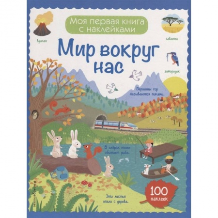 Досуг, творчество и кулинария, книга Мир вокруг нас (с наклейками)