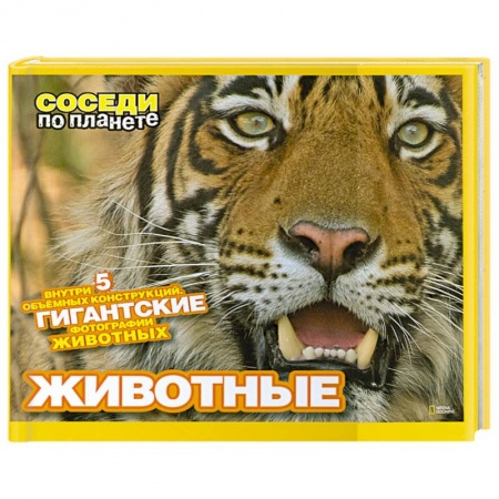 Книги, книга Животные. Внутри 5 объемных конструкций. Гигантские фотографии животных.