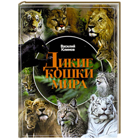Уход за животными, книга Дикие кошки мира