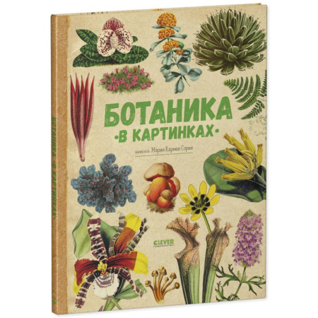 Познавательная литература, книга Ботаника в картинках