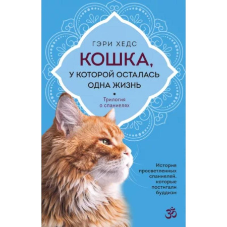 Йога и другие духовные практики, течения, книга Кошка, у которой осталась одна жизнь