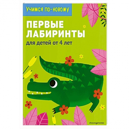 Досуг, творчество и кулинария, книга Занимательные лабиринты: для детей от 4 лет