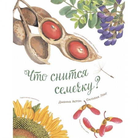 Книги, книга Что снится семечку?