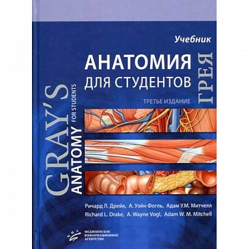 Анатомия Грея для студентов Анатомия Грея для студентов